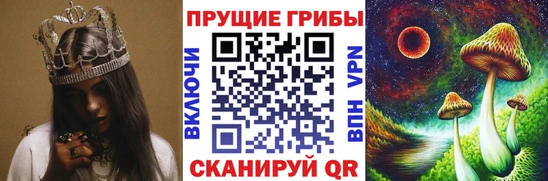 Псилоцибиновые грибы MAGIC MUSHROOMS Мариинский Посад